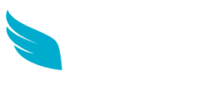 Filter Paper Media